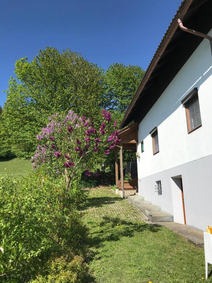 Haus Romsicht Karinthie Villa Kerschdorf Buitenkant foto